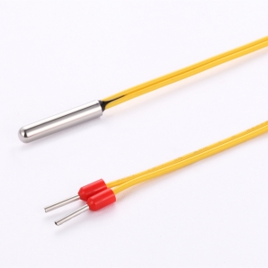 Good Quality Thermal Resistance PT100 RTD 2-wire Temperature Sensor